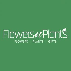 Flowers N Plants