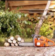 Sarah Tree Service Schaumburg