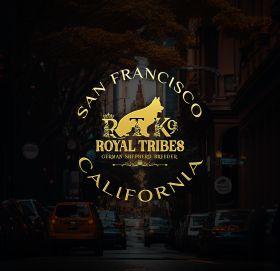 Royal Tribes K9 | German Shepherd Breeder | San Francisco California