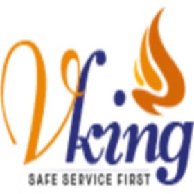 VKing International Pvt. Ltd.