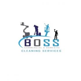  Boss Cleaning Specialists