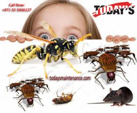 Cheap Pest Control Dubai