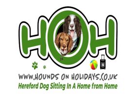Hounds On Holidays - Hereford Dog Sitting