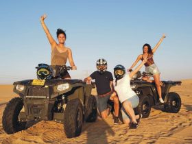 Offroad Adventure fun - Quads, Dirt Bikes & Buggy Tours