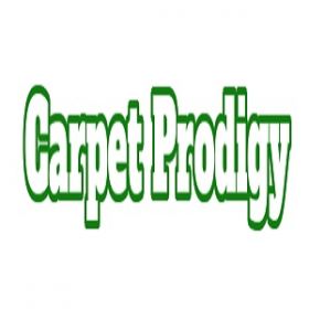 Carpet Prodigy