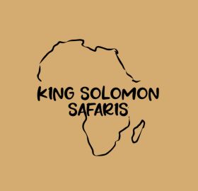 King Solomon Safaris