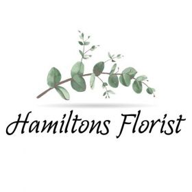 Hamiltons Florist St. Petersburg