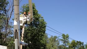 Lights and Flowers City Tree Service