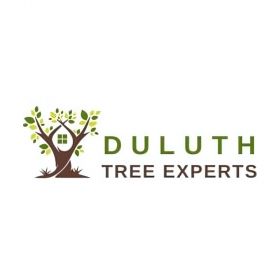 Duluth Tree Experts