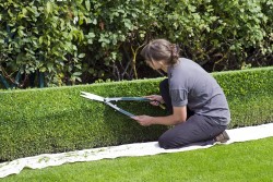 Wigan Hedge Trimming