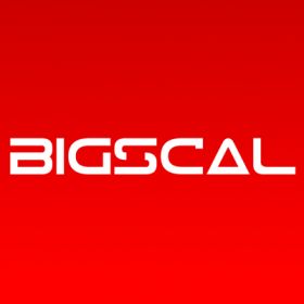  Bigscal Technologies Pvt. Ltd. 