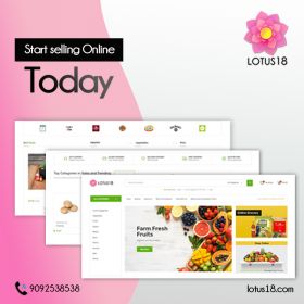 Lotus18 - Best Ecommerce Platfrom in India