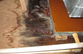 Water Damage Experts of Boca Raton