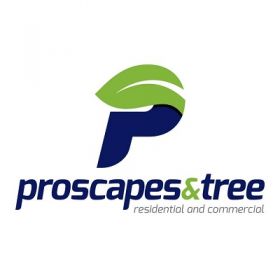 Proscapes & Tree