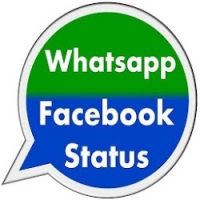 whatsapp status