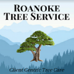 Roanoke Tree Service