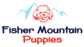 Fisher Mountain Puppies