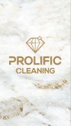 Prolific Cleaning Inc