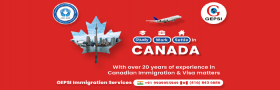 best consultancy in ahmedabad for canada
