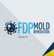 FDP Mold Remediation | Mold Remediation Passaic