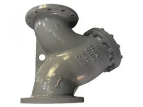 Y type Strainer