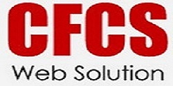 Computer Frontline Consultancy Services