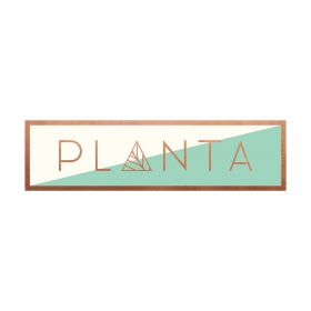 Planta South Beach