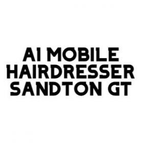 A1 Mobile Hairdresser Sandton GT