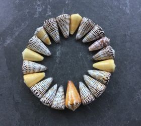 Shell Paradise