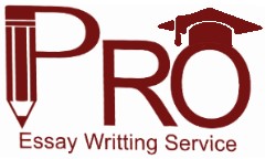 PRO ESSAY WRITING SERVICE	