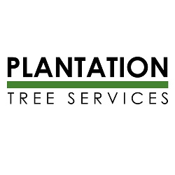 Plantation Tree Services