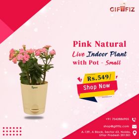 Giftfiz - India’s leading Online Gift Shop