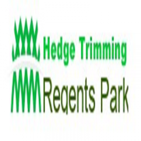 Hedge Trimming Regents Park