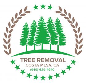 Tree Removal Costa Mesa