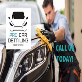 PRO Car Detailing Abbotsford