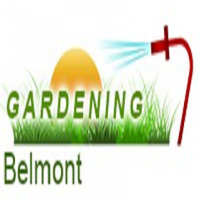 Gardening Belmont