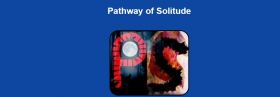 Pathway of Solitude