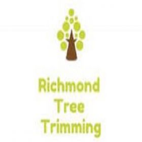 Richmond VA Tree Trimming