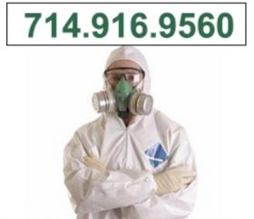 Los Angeles Mold Remediation Pros