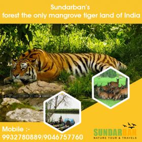 Sundarban Nature Tour