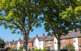 Rotherham Crown Reduction