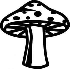 Psilocybin Mall