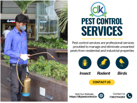 DK PEST SERVICES - Best Pest Control - Pest Control In Vadodara - Termite Services