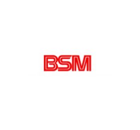 BSM India (Bengal Shoe Machinery Pvt Ltd)