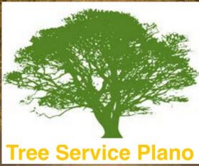 Tree Service Plano