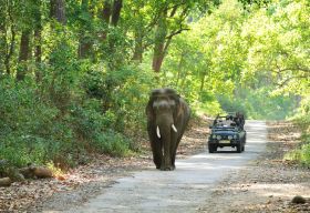 Jim Corbett Park