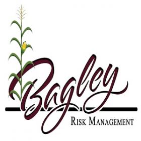 Bagley Risk Management