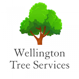 Wellington Tree Services