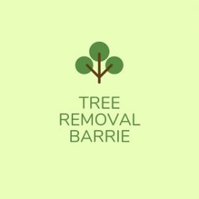 Tree Removal Barrie