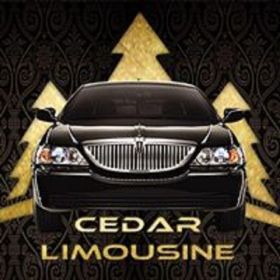 Cedar Valley Limousine